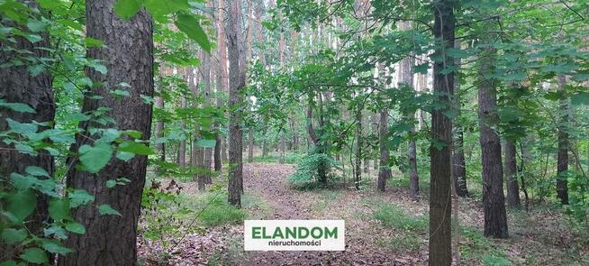 Działka 1900 m2 na poczekanie