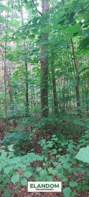 Działka 1900 m2 na poczekanie