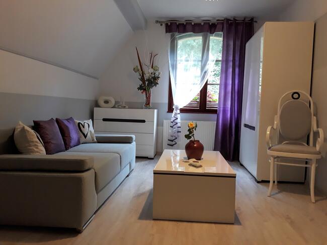 Dom na wsi blisko lasu - SPRZEDAŻ WSTRZYMANA !!!