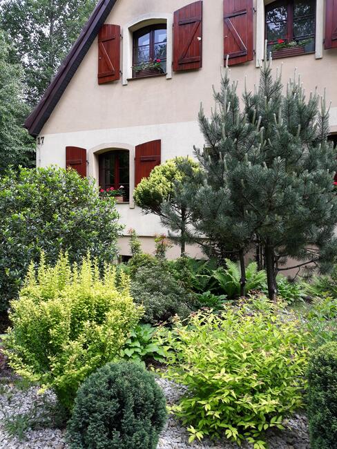 Dom na wsi blisko lasu - SPRZEDAŻ WSTRZYMANA !!!