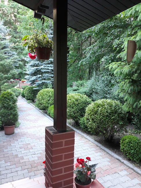 Dom na wsi blisko lasu - SPRZEDAŻ WSTRZYMANA !!!