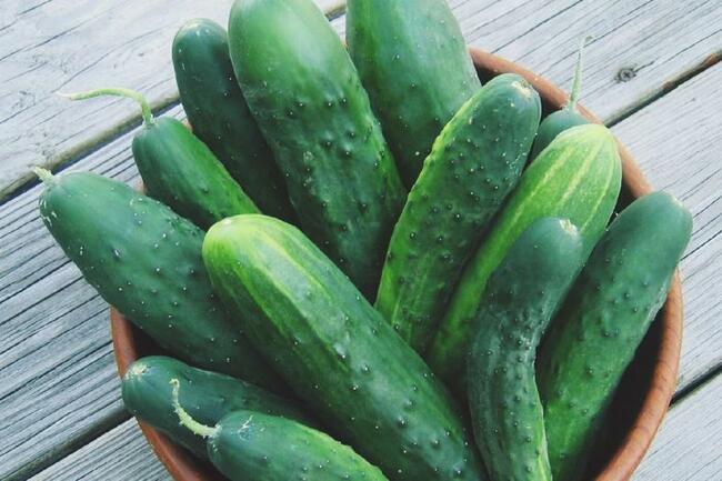 Buraki czerwone, ogórki, marchew: ekologiczne z ogródka.