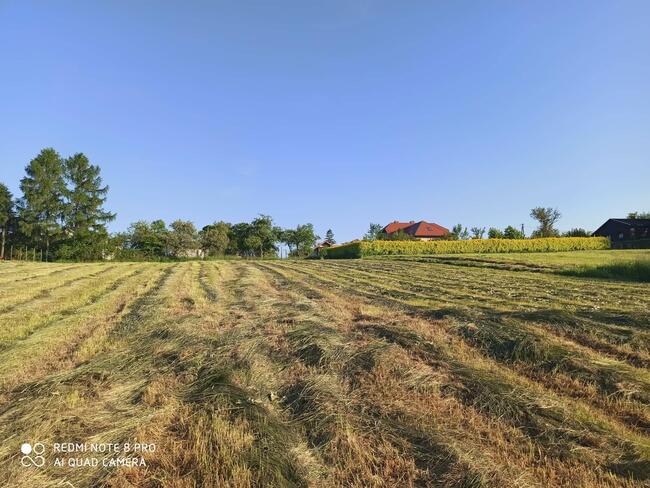 LIPOWA - WIDOKOWA DZIAŁKA - NA SPRZEDAŻ