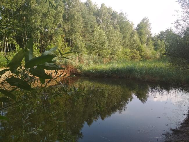 Pokoje, Kwatery, jeziorko ,w lesie Madaje Nowe woj. Łódzkie