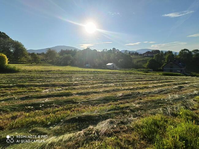 LIPOWA - WIDOKOWA DZIAŁKA - NA SPRZEDAŻ