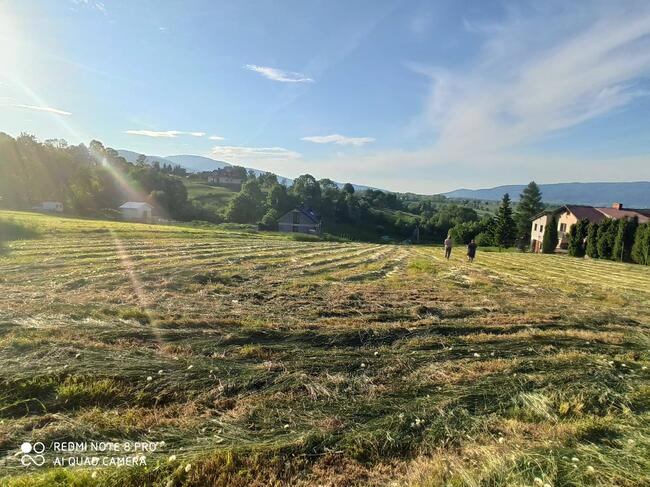 LIPOWA - WIDOKOWA DZIAŁKA - NA SPRZEDAŻ