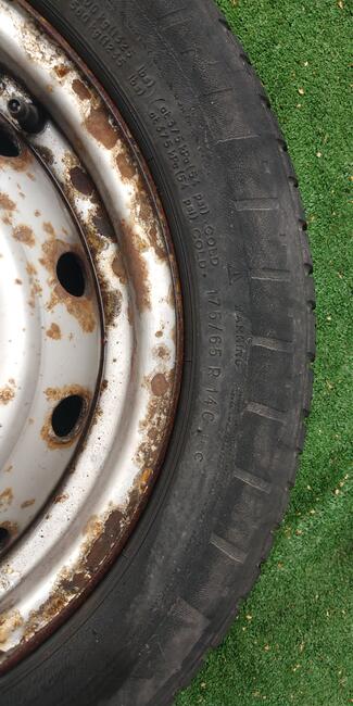 Opony 16 Effitrac Nokian cline