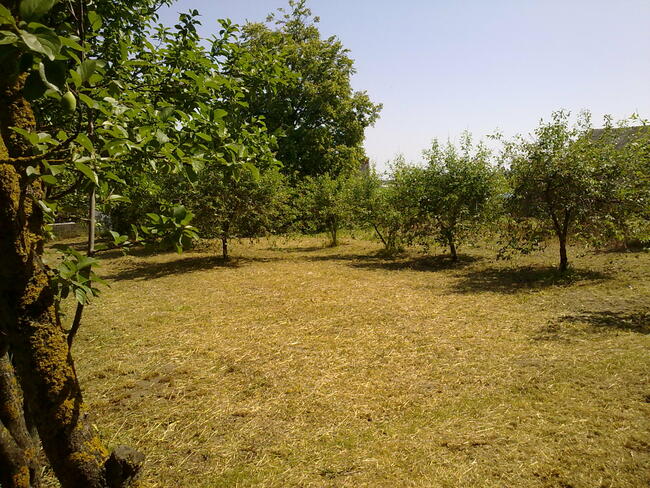 Siedlisko 4573 m2 sprzedam lub zamienię