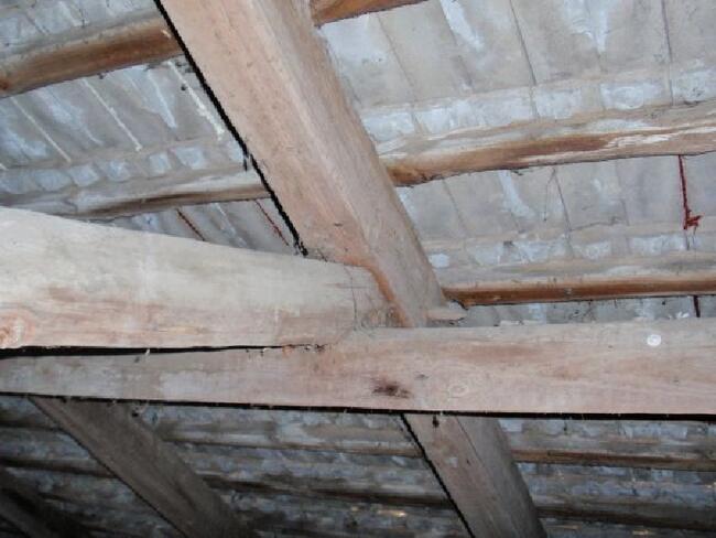 Siedlisko 4573 m2 sprzedam lub zamienię