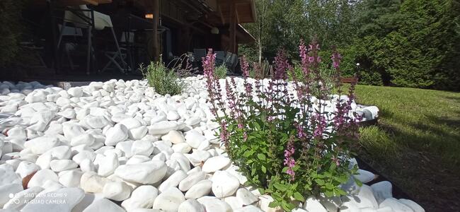 Formowanie żywopłotu, drzew i krzewów. BanGarden