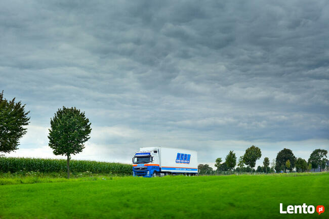 Kierowca Międzynarodowy C+E,4/2-Europa-potrzebujemy 5 osób