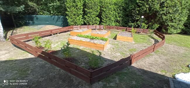 Formowanie żywopłotu, drzew i krzewów. BanGarden