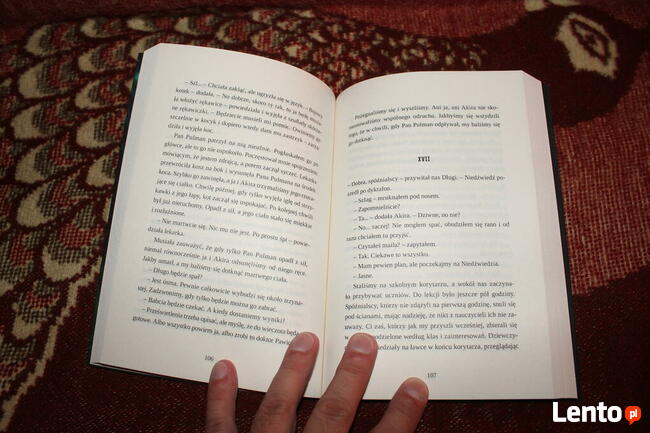 Wiła. Czarny Staw. Tom 1 - Robert Ziębiński Nowa