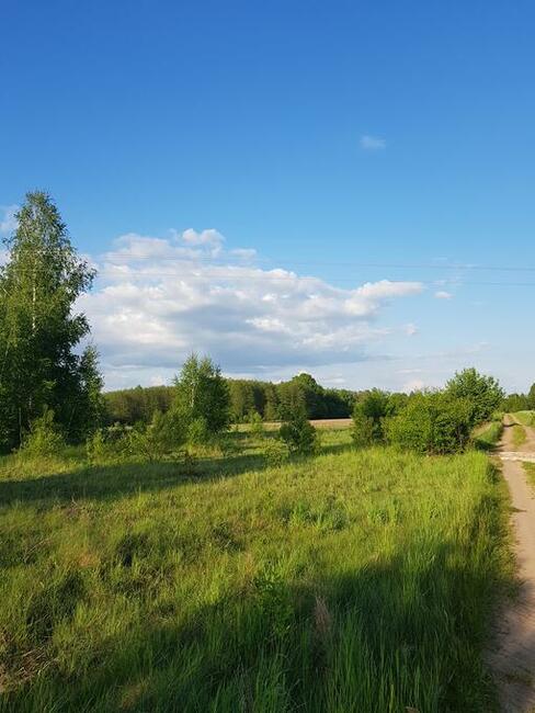 Działka budowlana 900 m2, Rajki, 5 km od Bielsk Podlaski