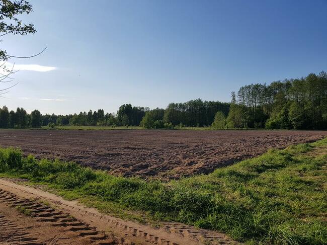 Działka budowlana 900 m2, Rajki, 5 km od Bielsk Podlaski