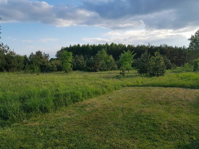 Działka budowlana 4000 m2, Rajki, 5 km do Bielsk Podlaski