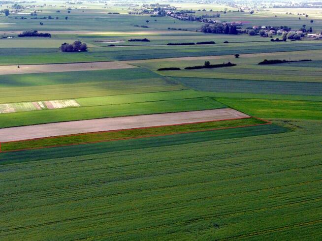 SPRZEDAM DZIAŁKĘ 09-500 GOSTYNIN WOJ MAZOWIECKIE