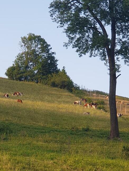 Domek całoroczny Cicha Dolina