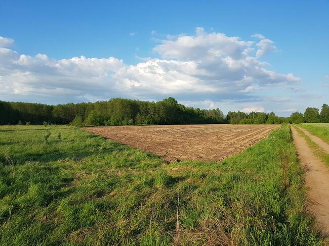 Działka budowlana 900 m2, Rajki, 5 km od Bielsk Podlaski