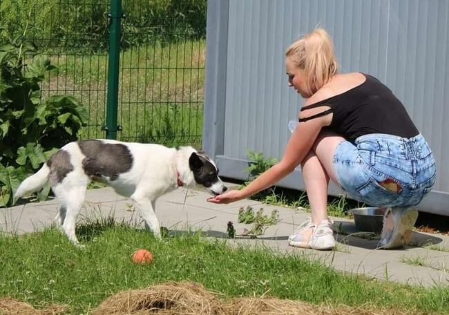 Pilne!! Sonia 3 let.uratowana z lasu szuka domu. Maria Lu