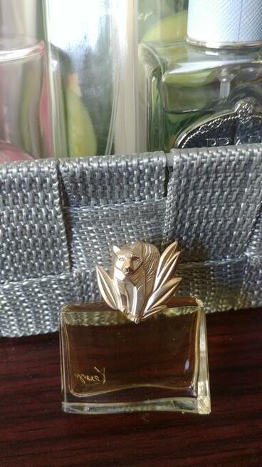 Kenzo Jungle Le Tigre Eau de Parfum 5 ml Unikat/Tygrys.