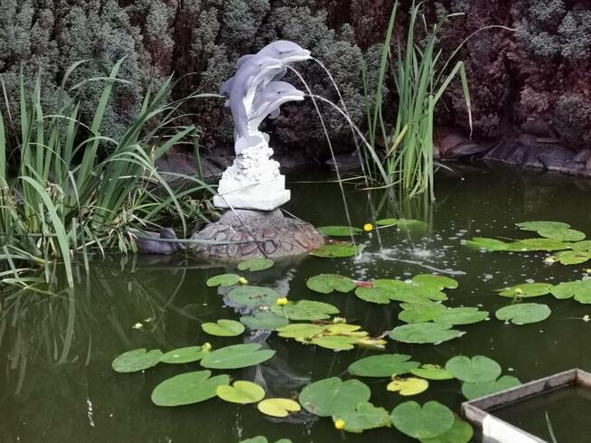 WCZASY NAD MORZEM, POKOJE GOŚCINNE REGINA, ZAPRASZAMY