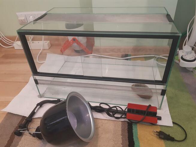 Sprzedam terrarium dla młodego gekona