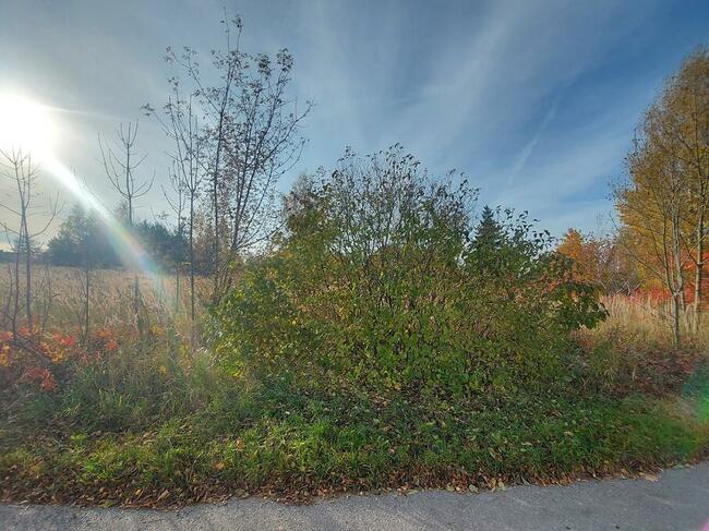 Wysoka k. Zawiercia widokowa działka budowlana