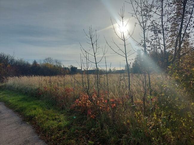 Wysoka k. Zawiercia widokowa działka budowlana