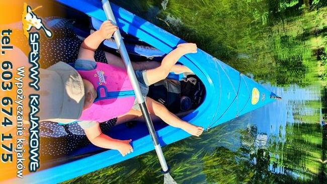 Spływy kajakowe brdą