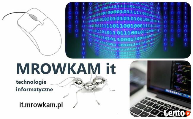 Tworzenie sklepów internetowych i stron www