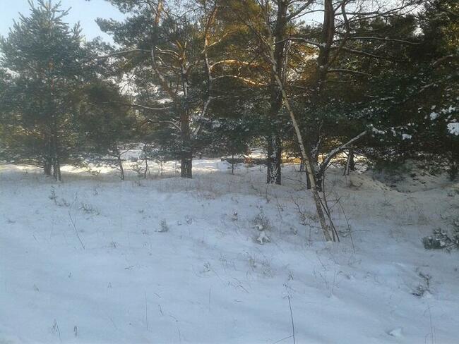 Mazury działki rekreacyjne z fundamentami