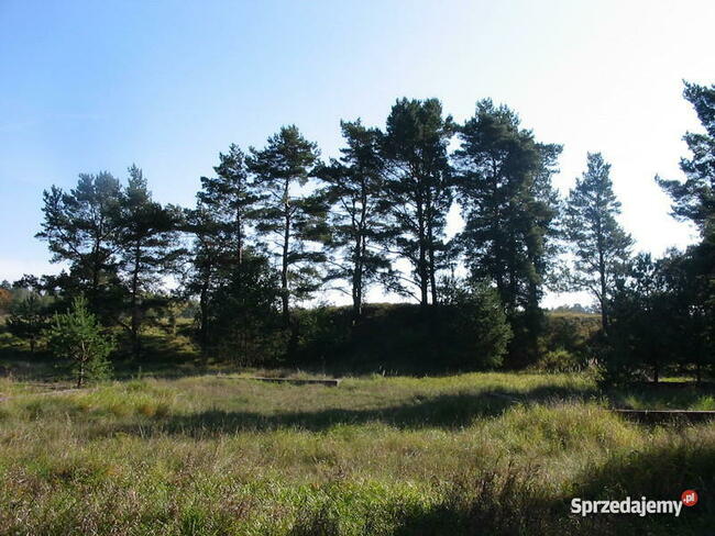 Mazury działki rekreacyjne z fundamentami