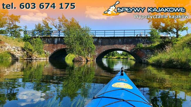 Spływy kajakowe brdą