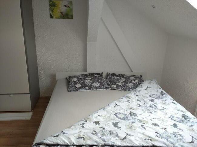 Noclegi nad jeziorem Narie