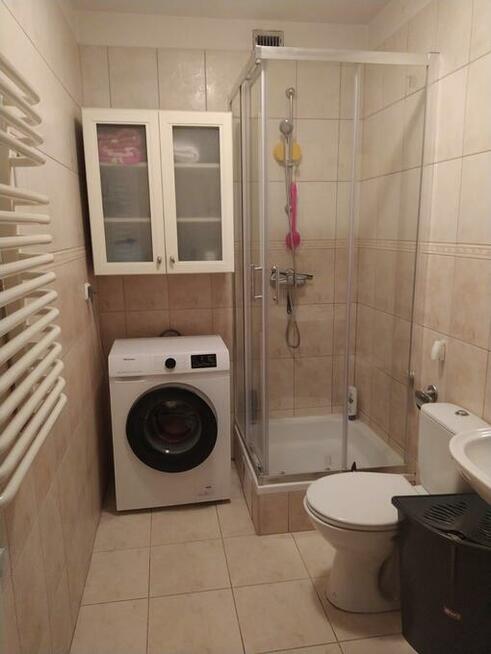 Wynajmę bezpośrednio od 10 kwietnia mieszkanie 31m, Kliny