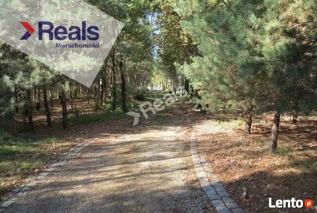 Ogrodzone działki, cisza, przyroda, bez dzików