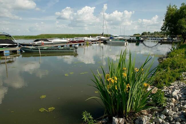 Węgry Jezioro Cisa Abádszalók domek do wynajęcia