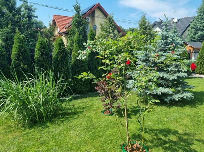 Dom Legionowo w okolicy SKM Piaski