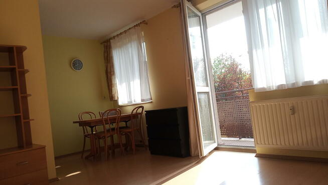 Wynajmę bezpośrednio od 10 kwietnia mieszkanie 31m, Kliny