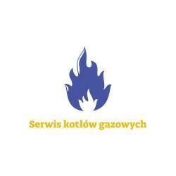 Serwis kotłów gazowych De Dietrich