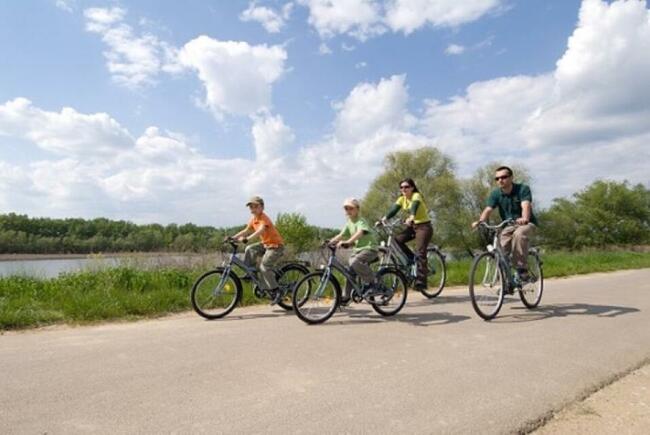 Węgry Jezioro Cisa Abádszalók domek do wynajęcia