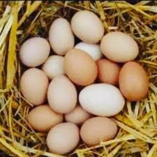 Warzywa prosto z pola- Eko skrzynka- Kurier!