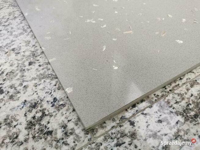 Konglomerat kwarcowy GRIS CENIZA CONHIGLIA 60x60x1,2 poler