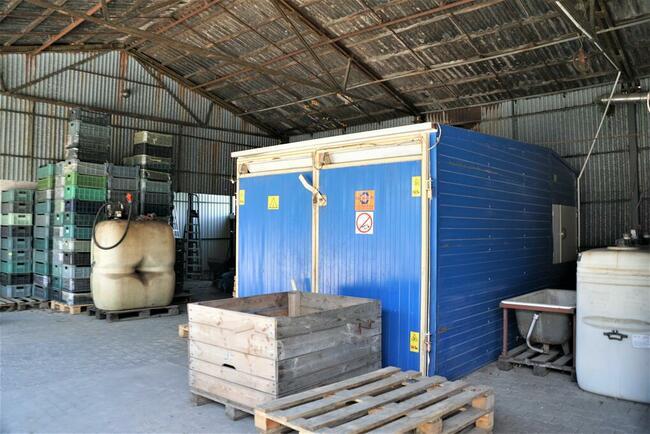 Dom i sady przy DK19/Via Carpatia/2km od Lubartowa