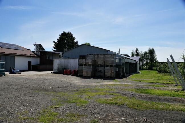 Dom i sady przy DK19/Via Carpatia/2km od Lubartowa