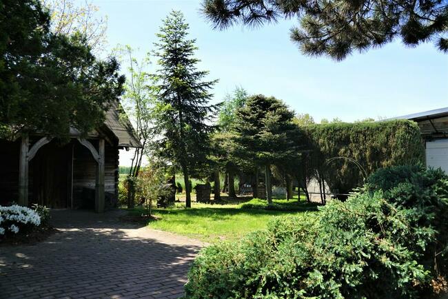 Dom i sady przy DK19/Via Carpatia/2km od Lubartowa