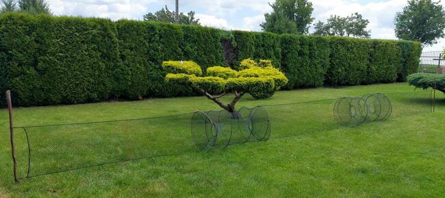 Pułapki sprężynowe modułowe