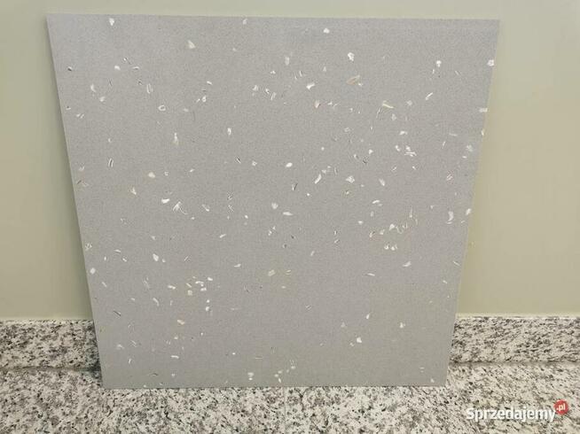 Konglomerat kwarcowy GRIS CENIZA CONHIGLIA 60x60x1,2 poler