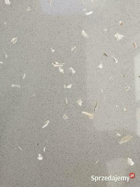 Konglomerat kwarcowy GRIS CENIZA CONHIGLIA 60x60x1,2 poler